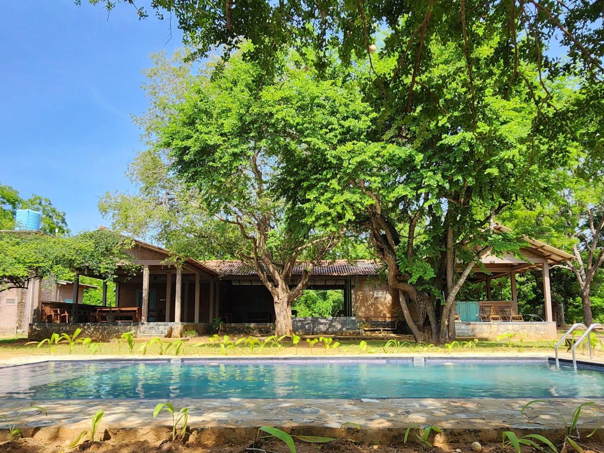 Bed and Breakfast Hide Yala Tissamaharama Exterior foto