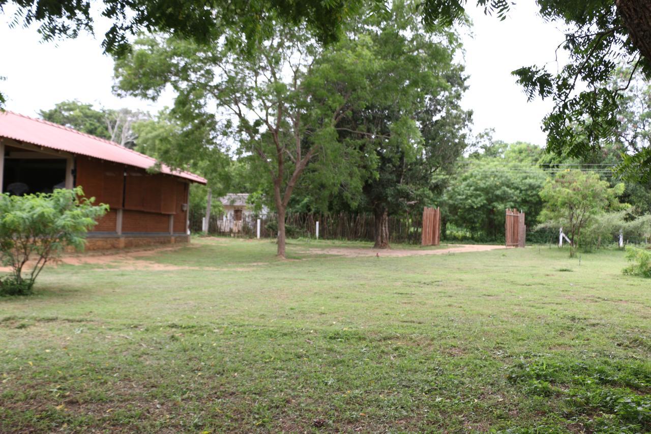 Bed and Breakfast Hide Yala Tissamaharama Exterior foto